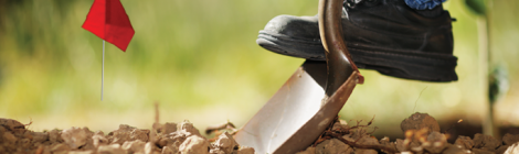 5 Steps to Safer Digging
