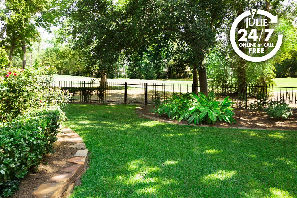 Landscaping Ideas For Shady Areas