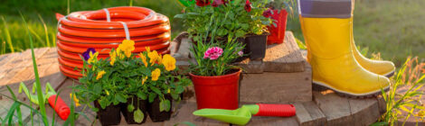 Gardener Gift Ideas