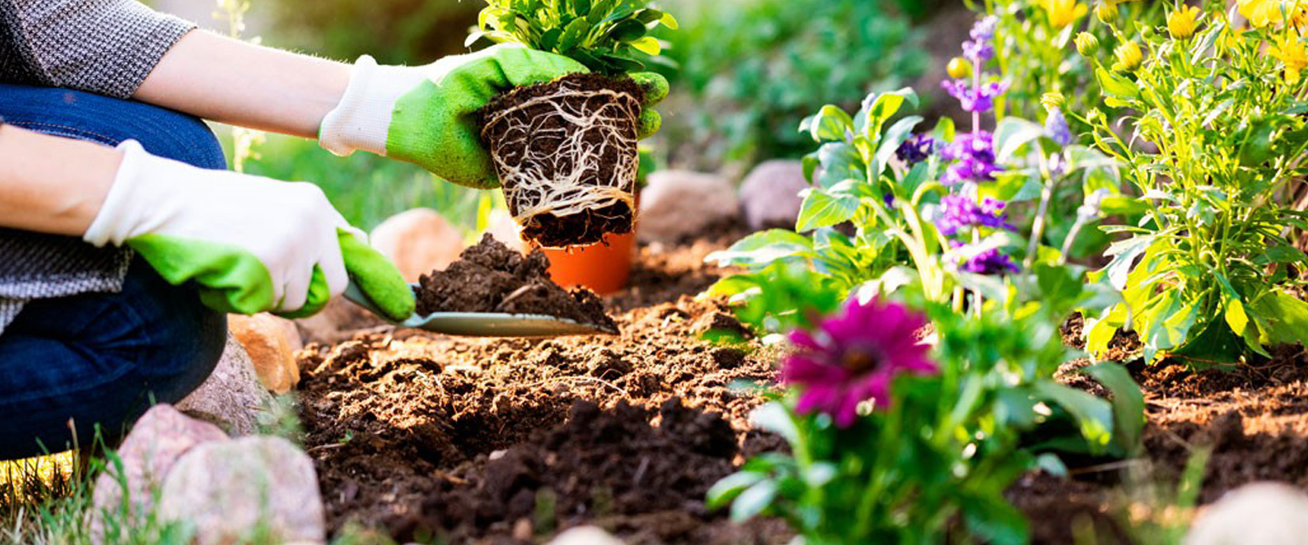 Contact JULIE Before you Dig for Gardening