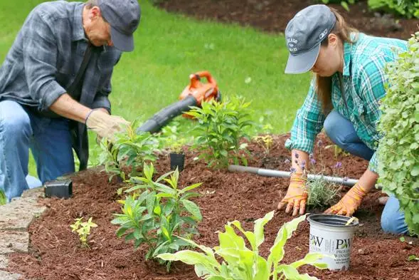 5 Steps To Safe Digging
